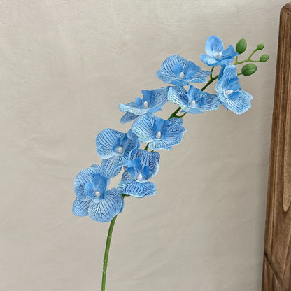 Decorative Orchid