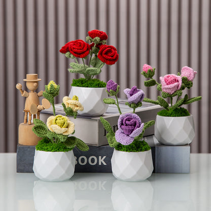Geometric Ceramic Planter Homeandso