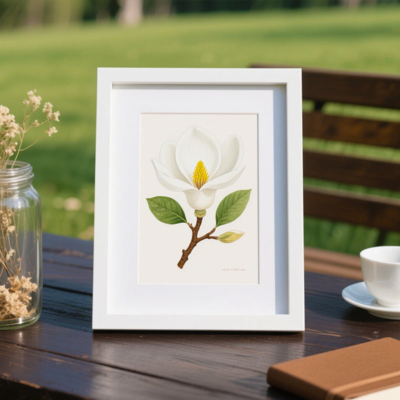 Floral Illustration Display Frame