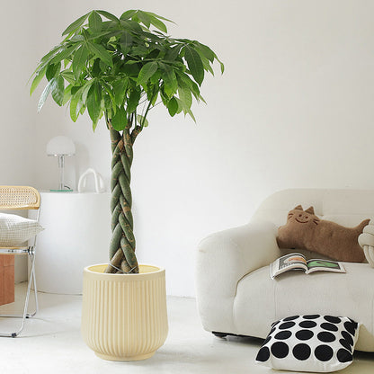 Decorative Round Ceramic Planter Homeandso