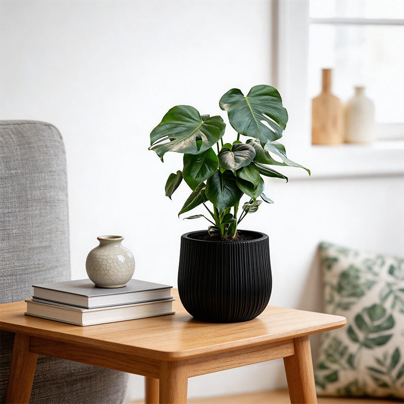 Decorative Ribbed Ceramic Planter Homeandso