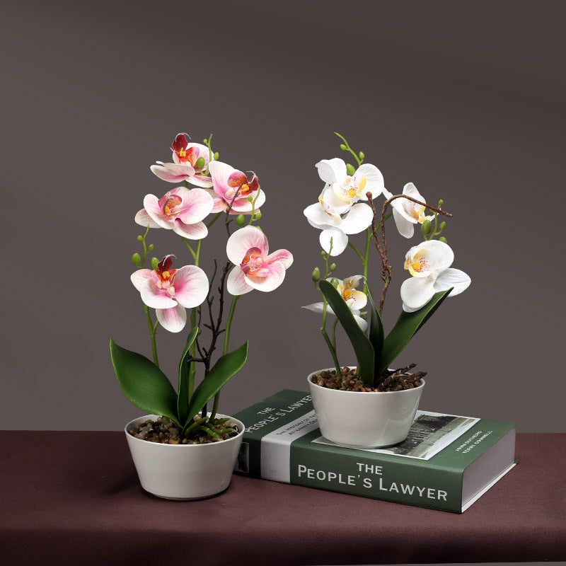 Artificial Orchid Plant Homeandso