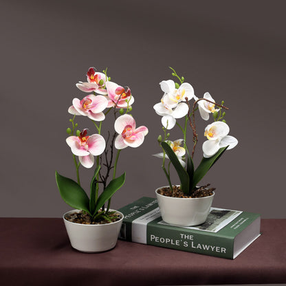 Artificial Orchid Plant Homeandso