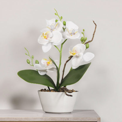 Artificial Orchid Homeandso