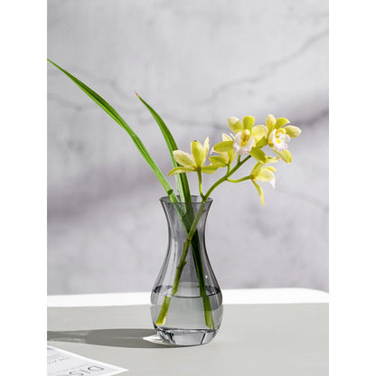 Elegante Glas-Wasser-Karaffe