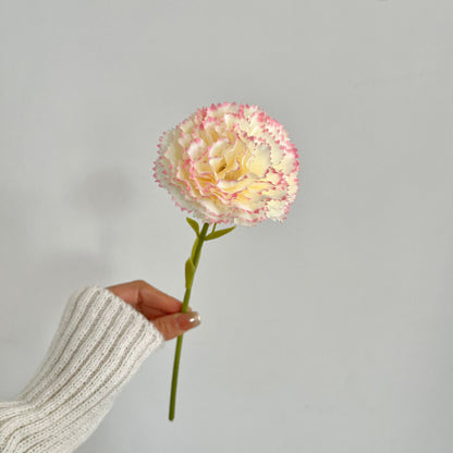 Realistic Carnation Flower Stem