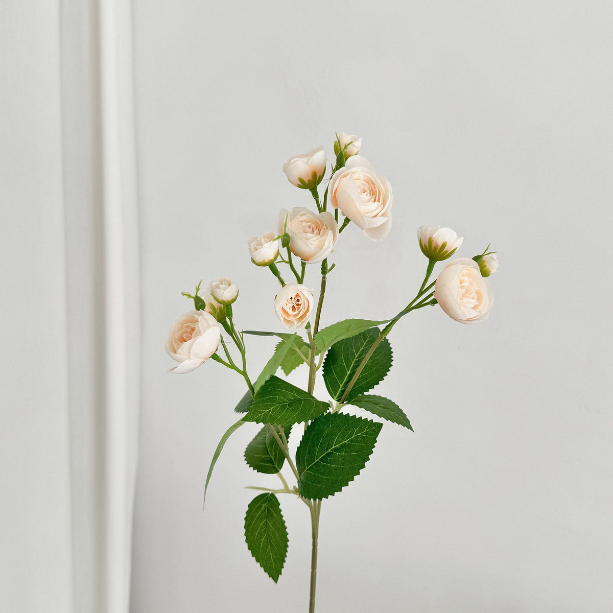 Realistic Blossom Stem