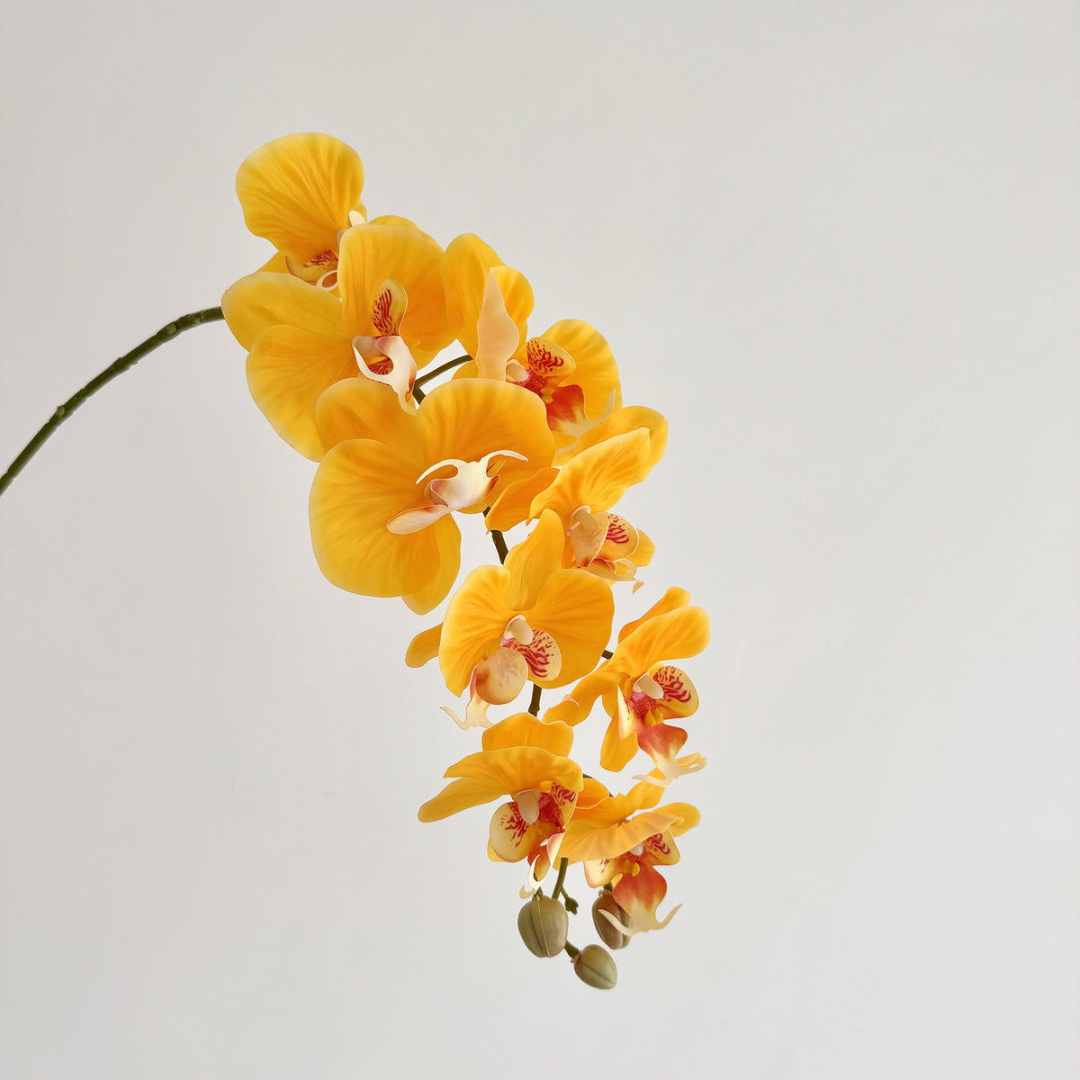 Premium Artificial Orchid Stem