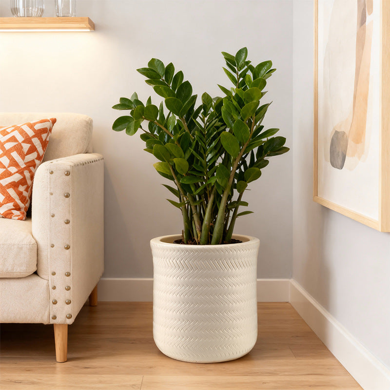 Textured Modern Round Plant Pot Homeandso