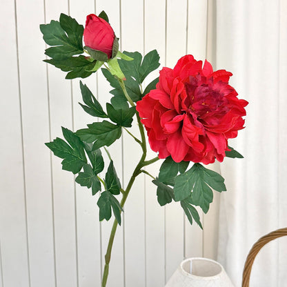 Premium Realistic Peony Floral Stem