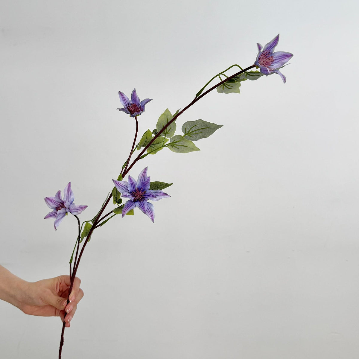 Elegant Floral Stem Arrangement