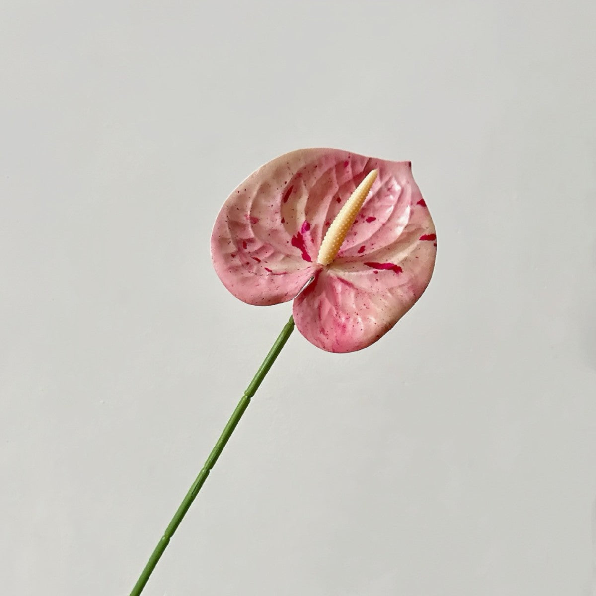 Elegant Orchid Floral Stem