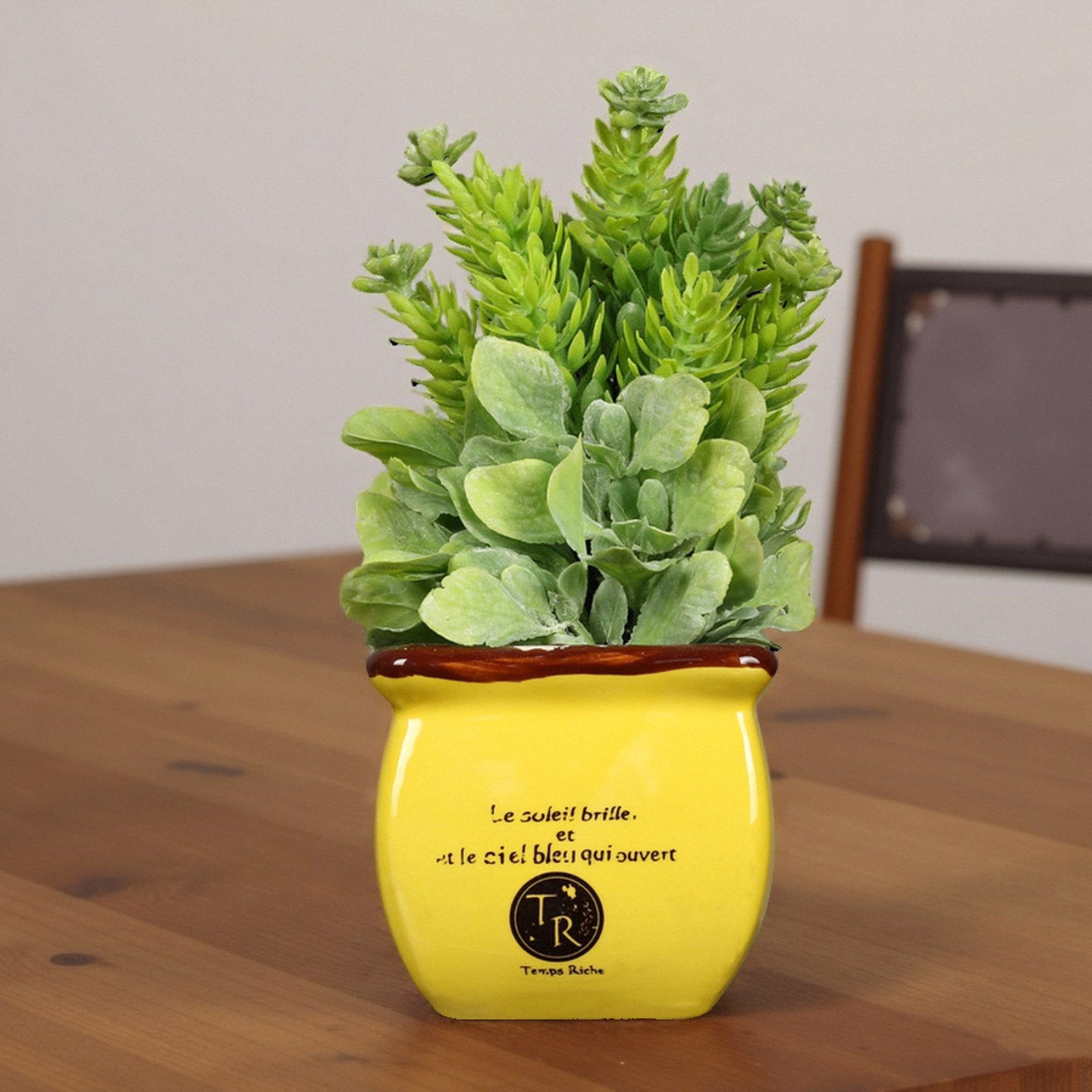 Decorative Potted Plant Homeandso