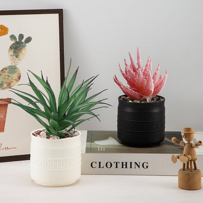 Modern Minimalist Planter Homeandso