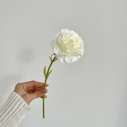Realistic Carnation Flower Stem