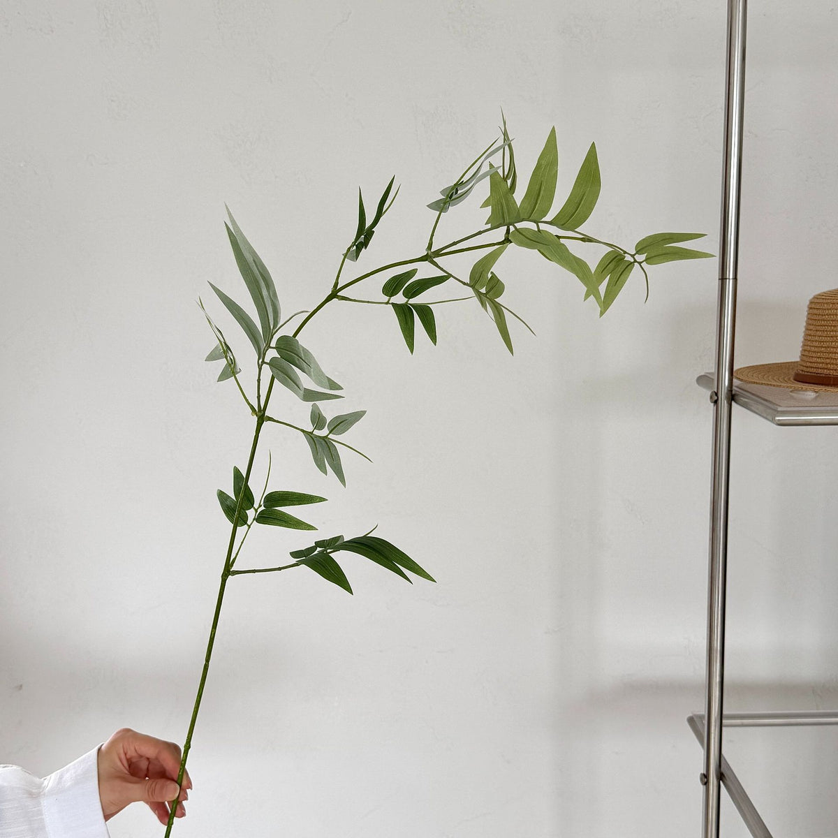 Realistic Eucalyptus Floral Stem