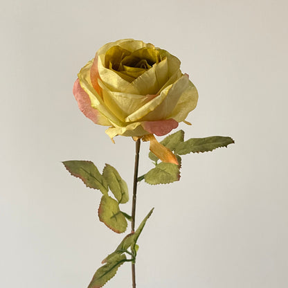 Decorative Floral Stem for Home Arrangements