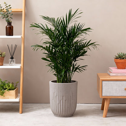 Ribbed Ceramic Planter Homeandso