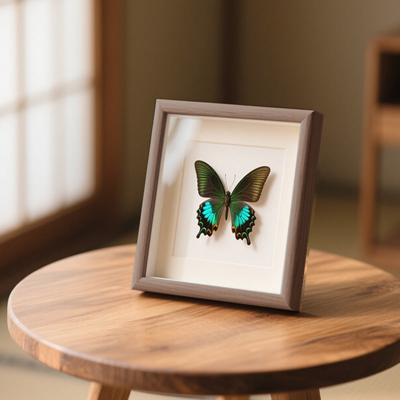 Butterfly Shadow Box Decor