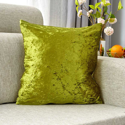 Plush Velvet Decorative Cushion