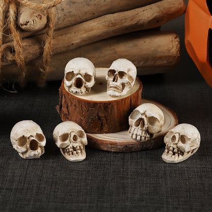 Decorative Skull Figurine Homeandso