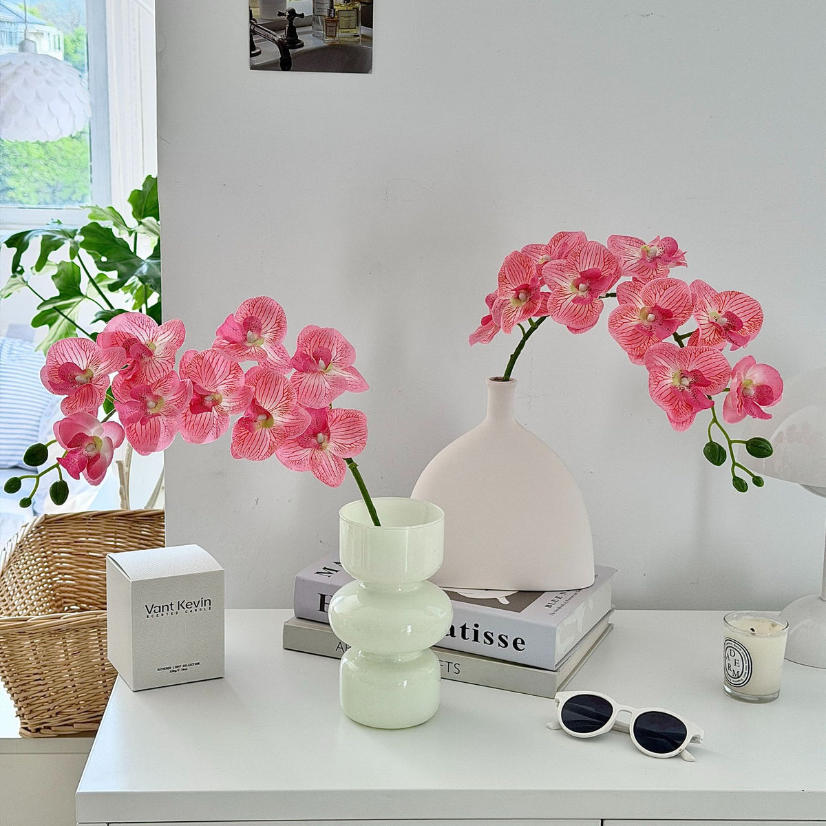 Decorative Orchid