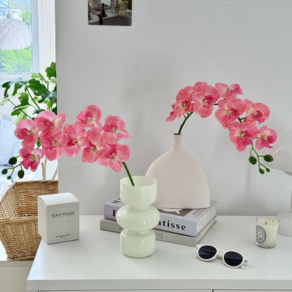 Decorative Orchid