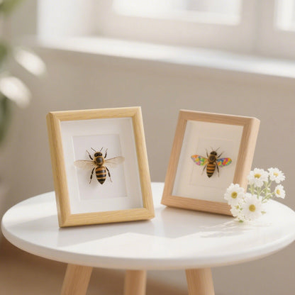 Decorative Insect Shadow Box Art Frame