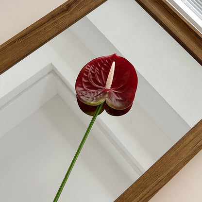 Elegant Orchid Floral Stem