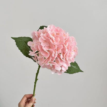 Realistic Hydrangea Stem