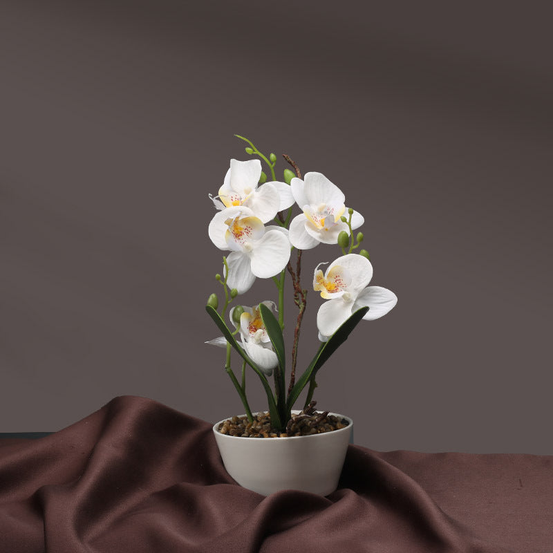 Artificial Orchid Plant Homeandso