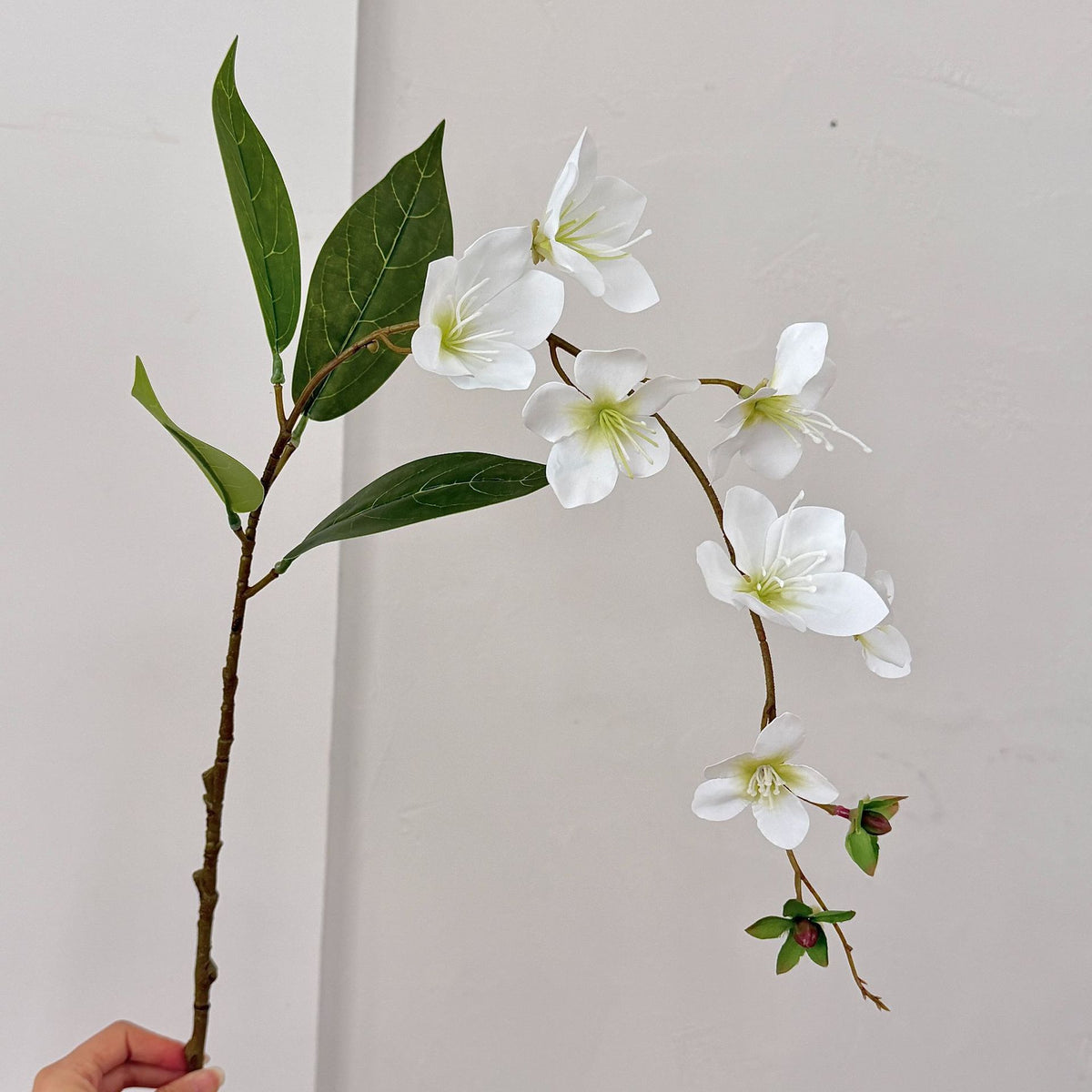 Elegant Decorative Orchid Stem