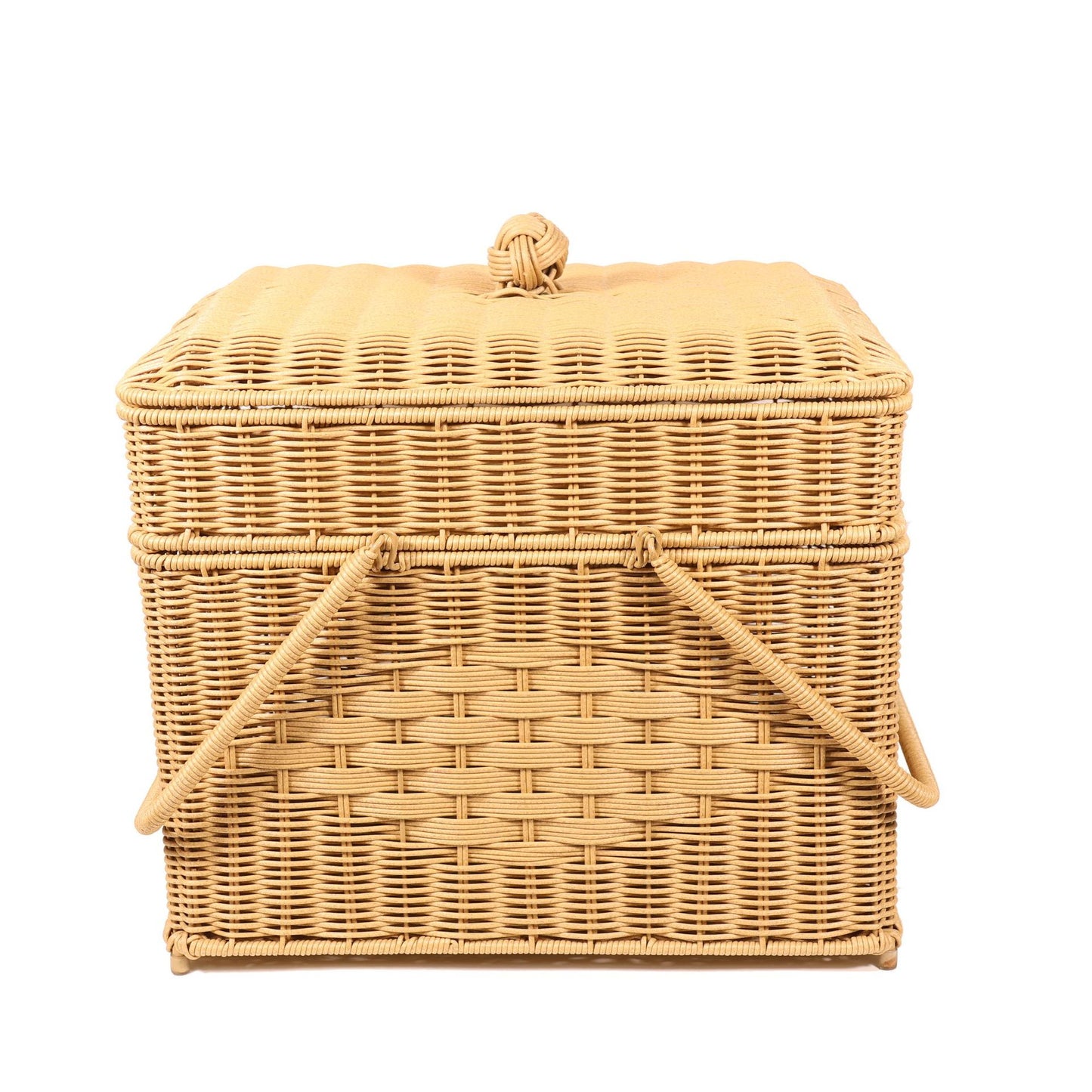 Stylish Woven Storage Basket Homeandso