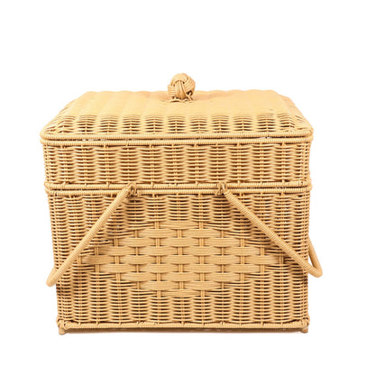 Stylish Woven Storage Basket Homeandso