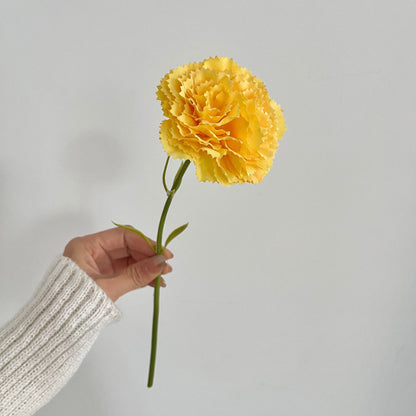 Realistic Carnation Flower Stem