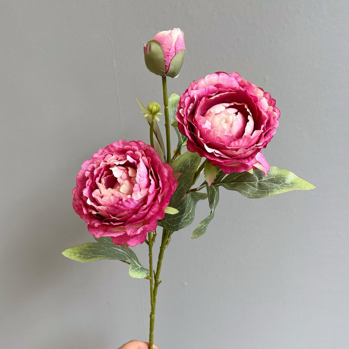 Elegant Peony Floral Stem