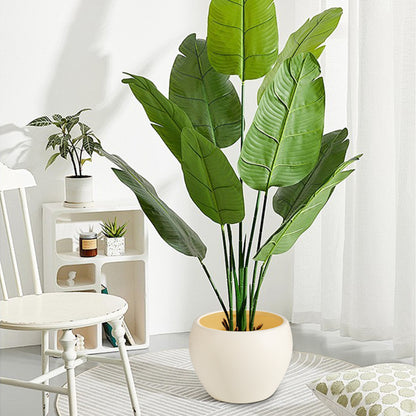 Homeandso Decorative Ceramic Plant Pot