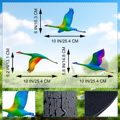 Colorful Bird Wall Art Homeandso