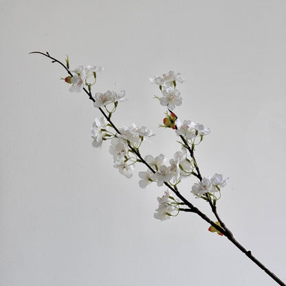 Cherry Blossom Botanical Stem