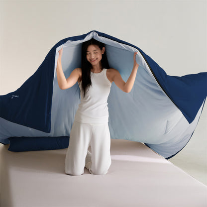 Luxurious Hypoallergenic Comforter Set Homeandso