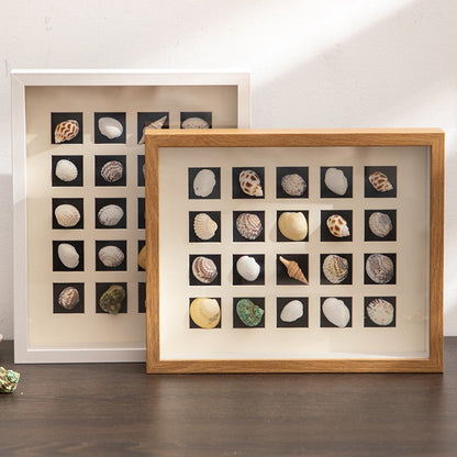 Schalenkunst-Displayrahmen