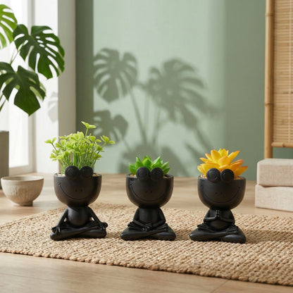Decorative Planter Pot for Plant Display