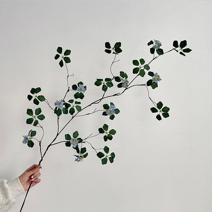Decorative Botanical