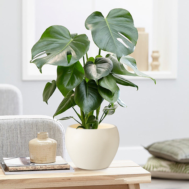 Homeandso Decorative Ceramic Plant Pot