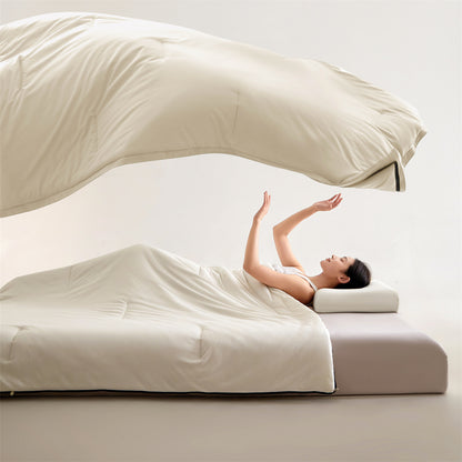 Luxurious Hypoallergenic Comforter Set Homeandso