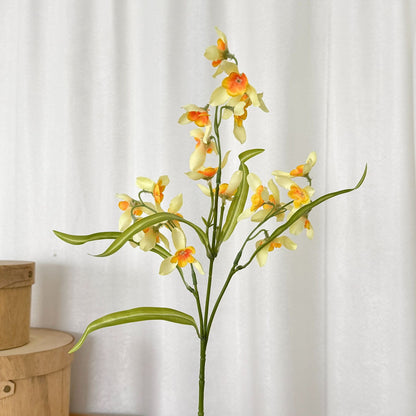 Elegant Orchid Flower Stem