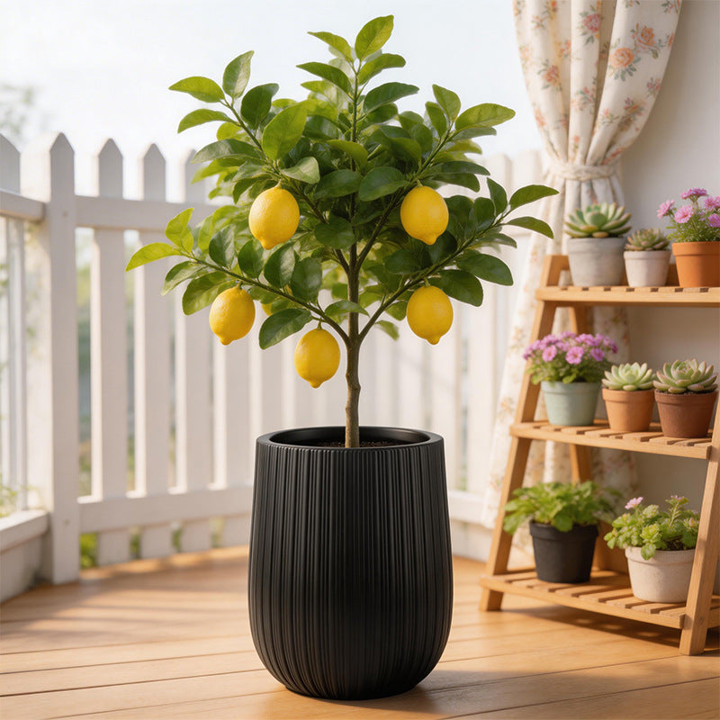 Homeandso Decorative Ribbed Ceramic Planter