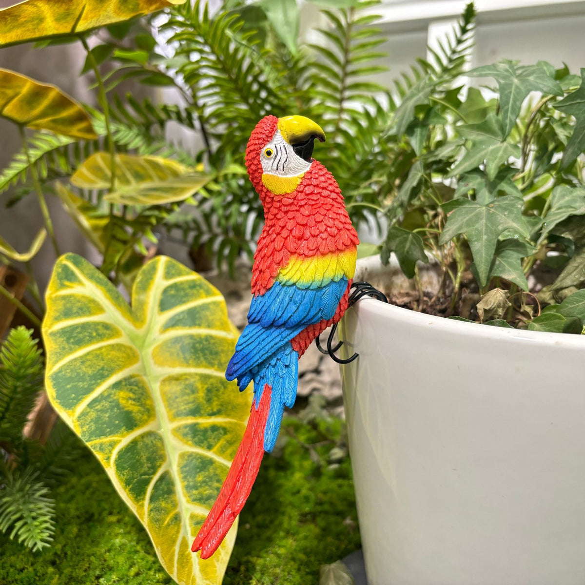 Decorative Parakeet Bird Figurine Homeandso
