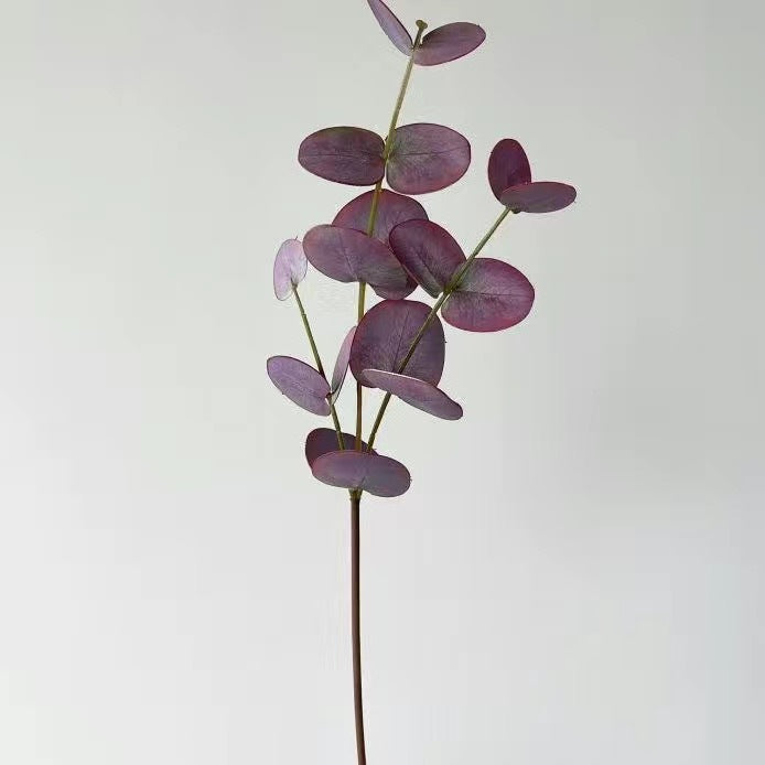 Naturalistic Eucalyptus Stem