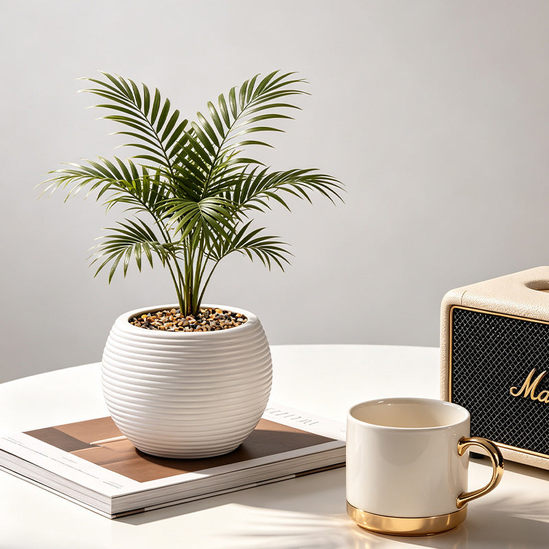 Contemporary Round Plant Pot Homeandso